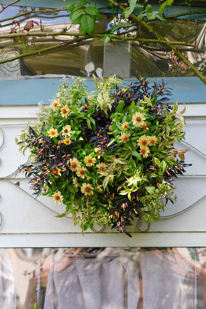 ハンギングバスケット