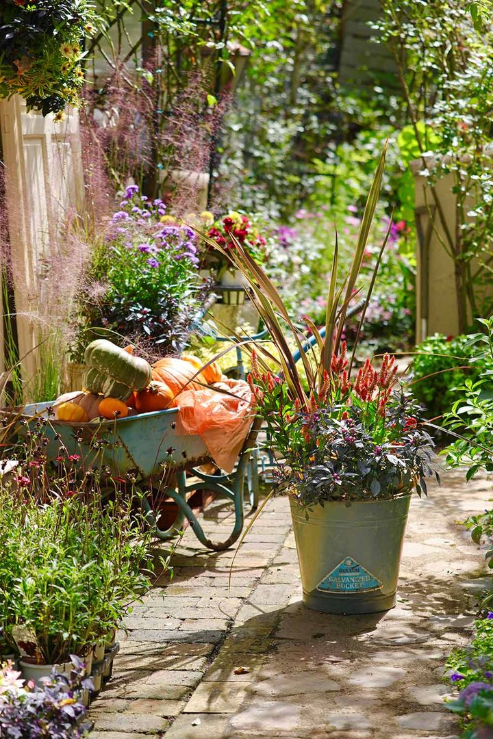 ハンギングと寄せ植え