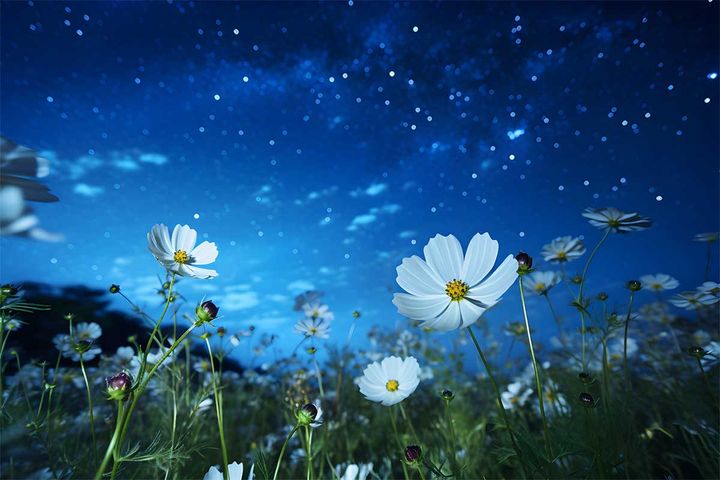 2024年10月7～13日、今週の占い「12星座」別