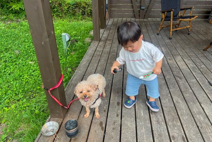 PICAFujiyamaのテントサイト