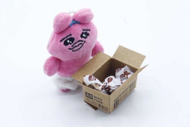 セリア ぬい用 段ボール 使用例