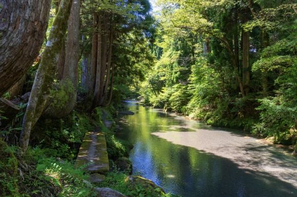 手軽にトレッキング気分が味わえる、全長約4kmの自然歩道