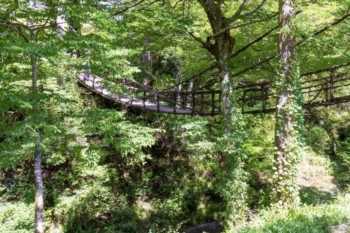 橋の渡り口には、吊り橋を支える大きな柱があり、迫力満点の風景にワクワクします