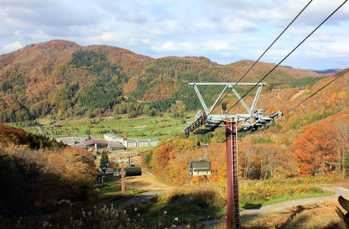 例年10月中旬から下旬にかけて見頃を迎える紅葉が見事
