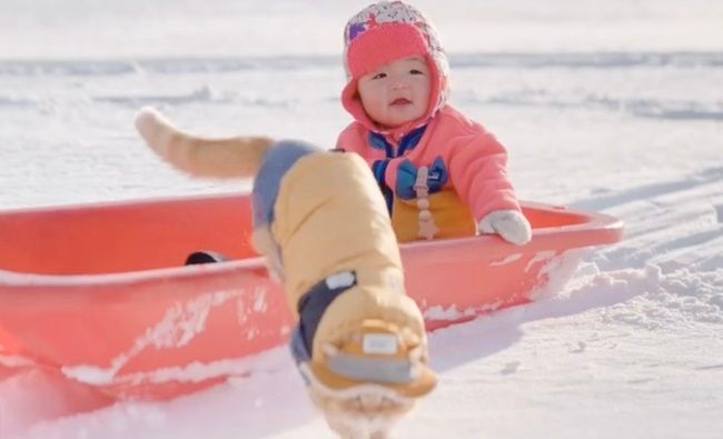 そりに乗って遊ぶ赤ちゃんと猫ちゃん
