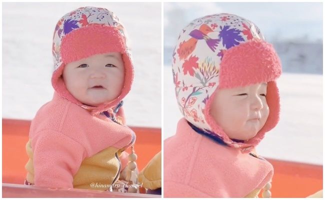 そりに乗って遊ぶ赤ちゃんと猫ちゃん