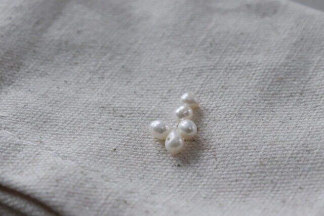 ダイソーの高級素材アイテム