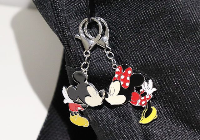 ダイソー ペアキーホルダー（ミッキー／ミニー） 使用例