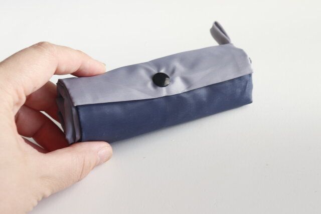 ダイソー エコバッグ（スナップ収納、LOGO）