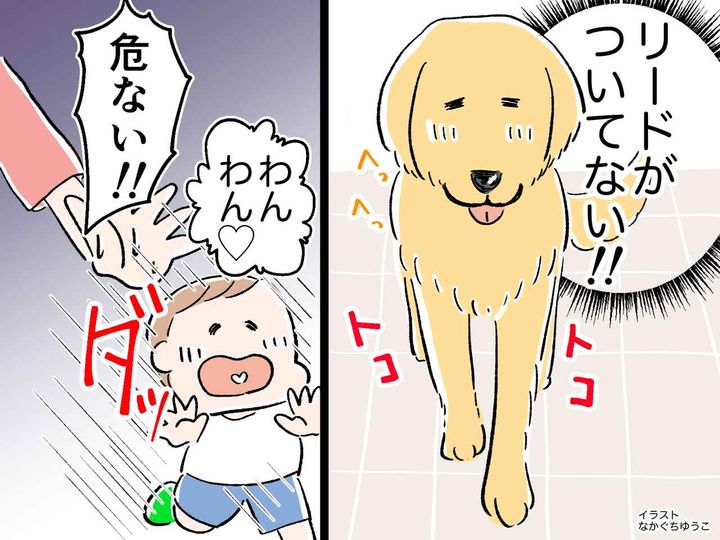 画像: 【ヒヤッとした話】マンションのロビーで、幼い息子に『リードのない大型犬』が近づいてきて、、、！？