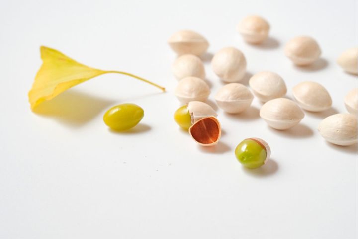 かたい殻の中にある、ヒスイ色のやわらかい仁（胚乳）が食用部分。