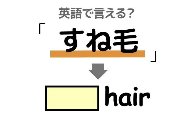 【すね毛】は英語で何て言う？「薄い」などの英語もご紹介