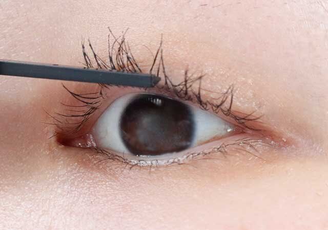 ダイソー コームセットマスカラ コーム 使用例