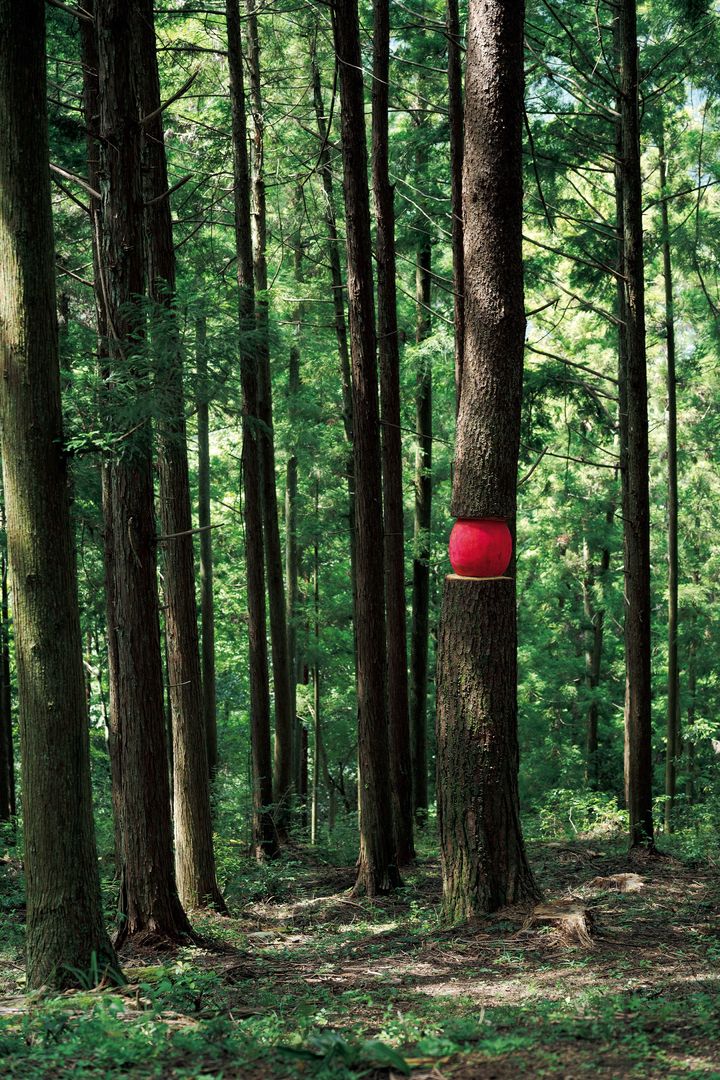 神山の「創造の森」には、KAIRで生まれた作品が自然と共存するように点在する。スペイン系フランス人アーティストのアリアン・パトゥーと、ドイツ系スイス人デザイナーのルネ・ミュラーによるユニットDomestic-Wildが制作した《Wild Heart》（2023）。