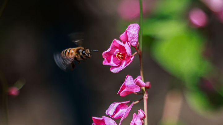 「サッカーライターは夢がない」、それでもなりたい方に送る業界のリアル