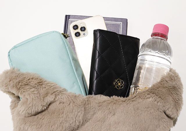 ダイソー エコファーミニバッグ 収納力