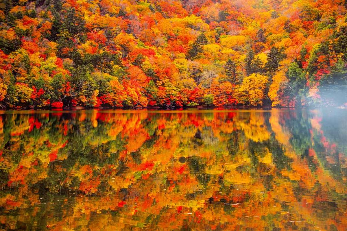 紅葉もみじ壺 featured-image.