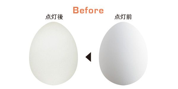 Before／点灯前→点灯後