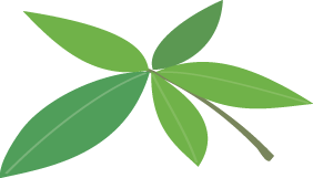 画像の代替テキスト