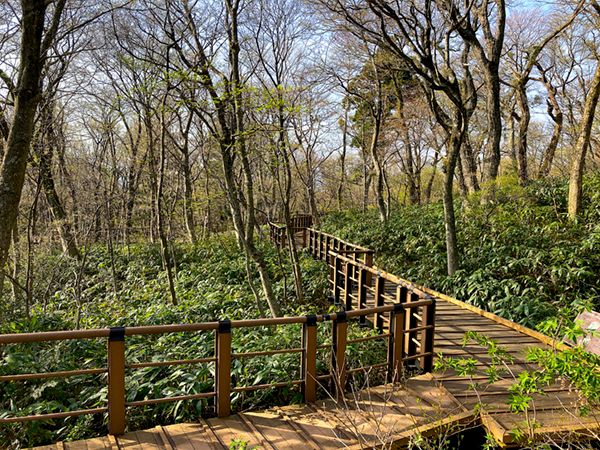 「工夫がすごい」モンベルのキャンプ場がニューオープン！実際に行ってみた