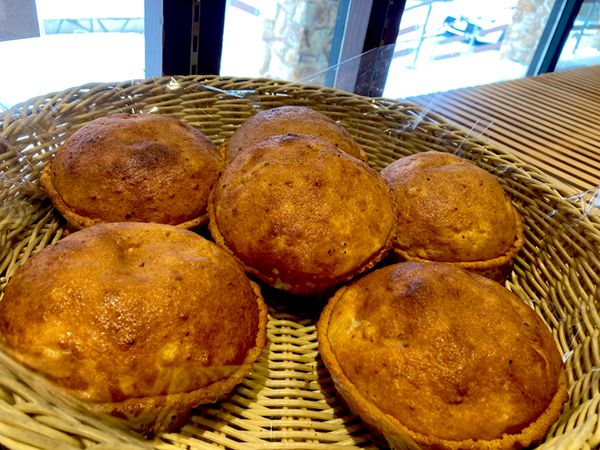 「工夫がすごい」モンベルのキャンプ場がニューオープン！実際に行ってみた