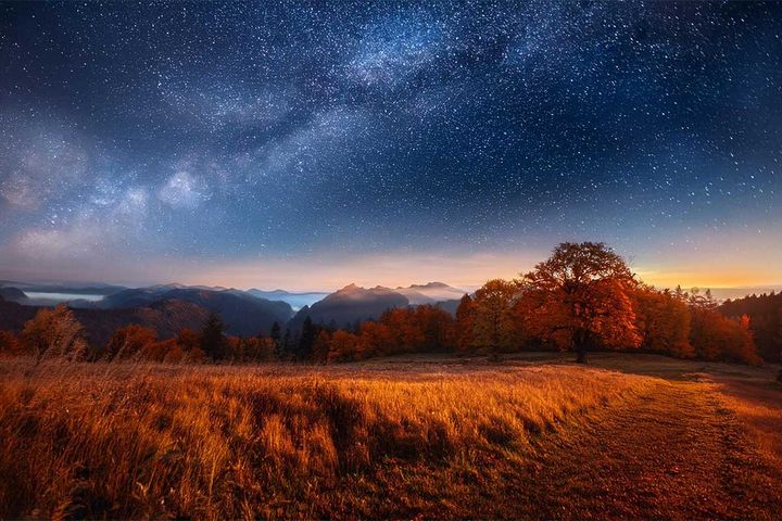 2024年10月14～20日、今週の占い「12星座」別