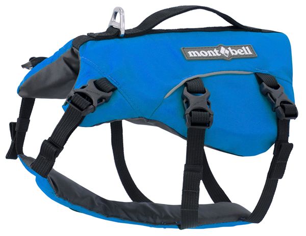 愛犬に必要なキャンプギアとは？便利すぎるアイテムを厳選紹介！