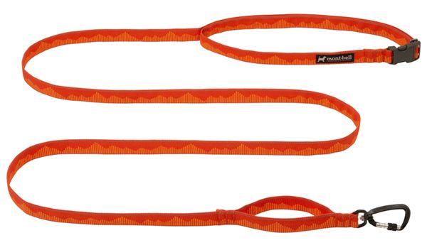 愛犬に必要なキャンプギアとは？便利すぎるアイテムを厳選紹介！