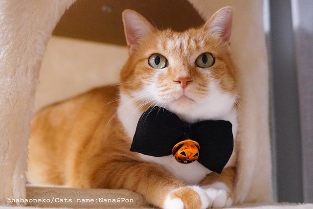 画像4: 出典：Instagram