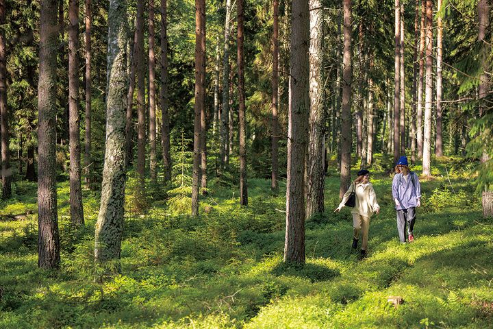 ムーミン谷の素敵な言葉とフィンランドの素敵な習慣