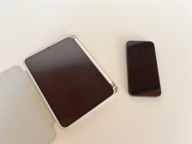 iPad mini おすすめ 理由