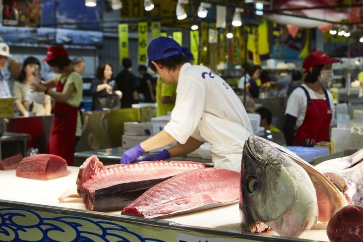 1日1〜2回開催されるマグロ解体ショー