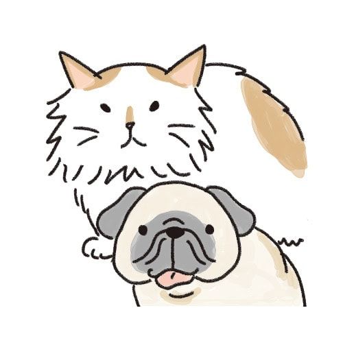 ねころびもひとしお