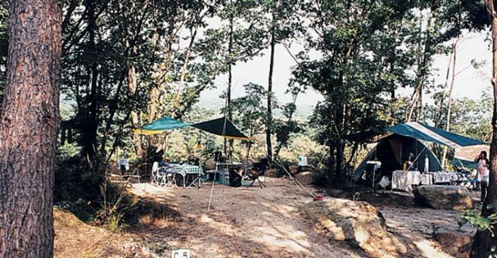 【アクセス抜群！】愛犬を連れていけるキャンプ場15選【山梨県】