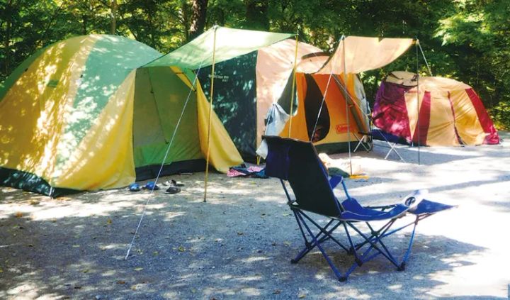 【アクセス抜群！】愛犬を連れていけるキャンプ場15選【山梨県】