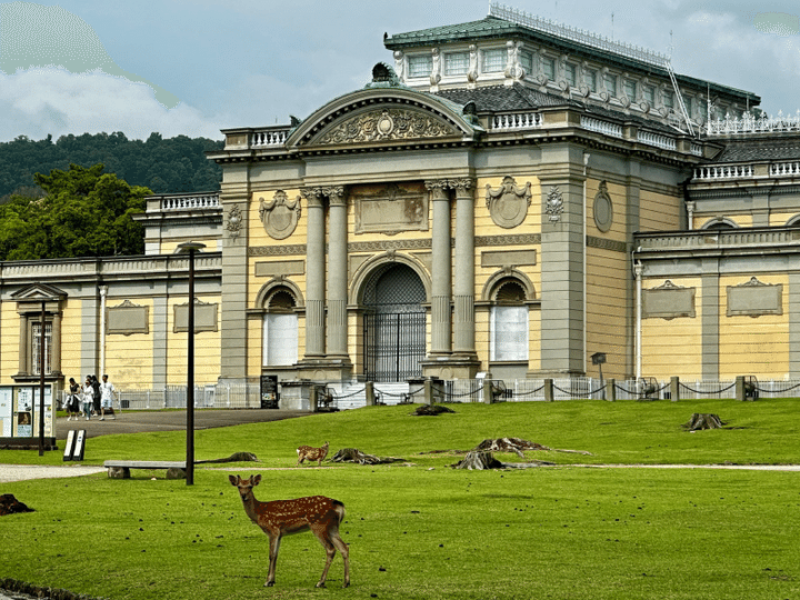 奈良 奈良国立博物館 正倉院展 レトロ建築