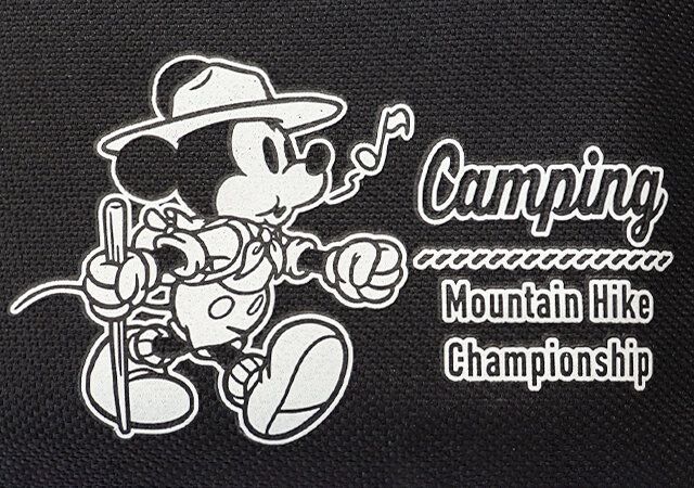 可愛いミッキーデザインのアップ