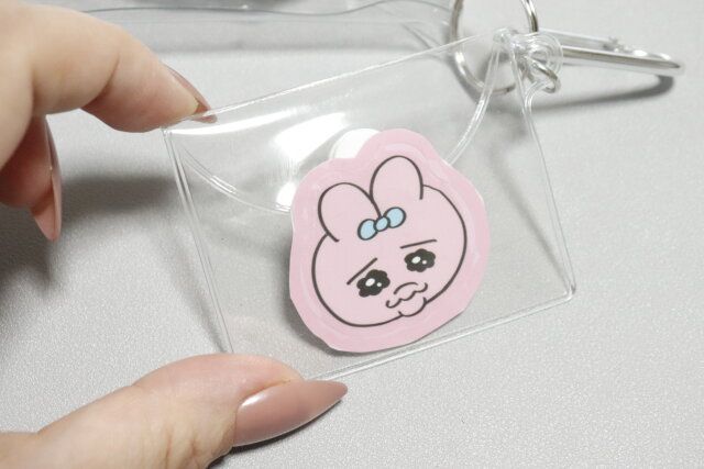 ダイソー カラビナクリアポーチ ミニポーチ 使用例