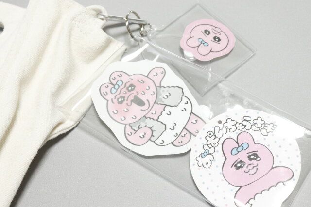 ダイソー カラビナクリアポーチ ミニポーチ