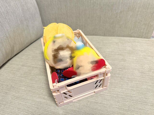 セリア 折りたたみコンテナ FOLDING CONTAINER ぬいぐるみ収納