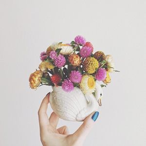 valoさん（mekkoja_valo）