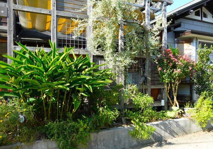 海と山に囲まれた葉山でリトリート♪自家栽培したハーブのお茶とランチでくつろぐ「風早茶房」