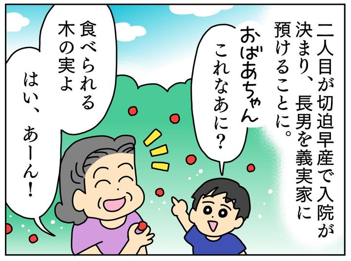 画像2: 庭に生えている謎の木の実