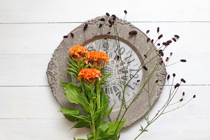 ケイトウとワレモコウ