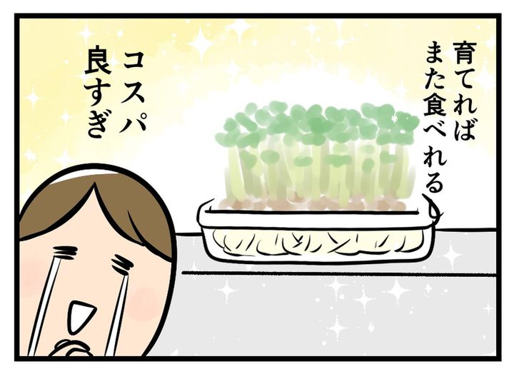 画像4: 変わらず安い！