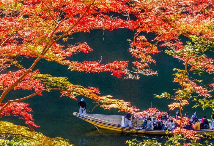 【京都・嵐山の紅葉さんぽ】源氏物語＆ご利益めぐりで秋の嵯峨野を満喫、話題の境内カフェも♪
