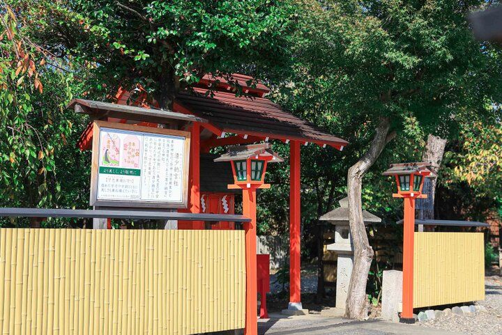 【京都・嵐山の紅葉さんぽ】源氏物語＆ご利益めぐりで秋の嵯峨野を満喫、話題の境内カフェも♪