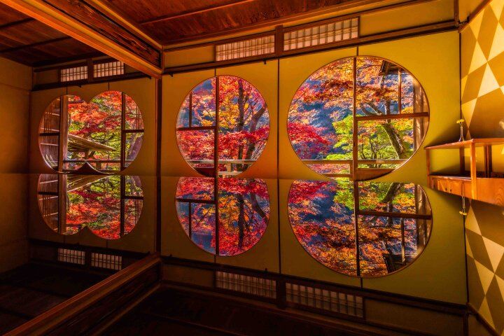 【京都・嵐山の紅葉さんぽ】源氏物語＆ご利益めぐりで秋の嵯峨野を満喫、話題の境内カフェも♪