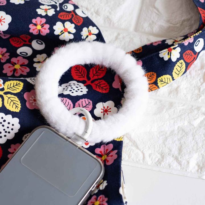 画像1: 出典：ftn_pics