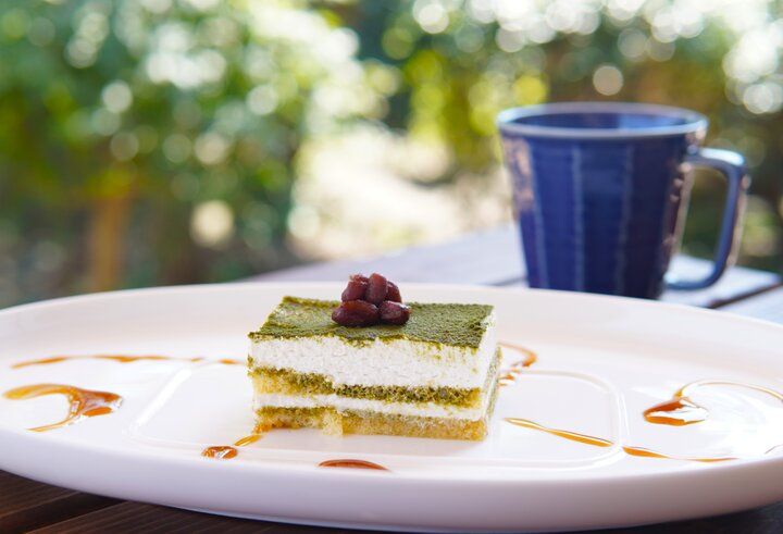 鎌倉の瀟洒なお屋敷でお庭の緑を眺めながらのんびりとお昼ごはん「Cafe&Restaurant EGAO」